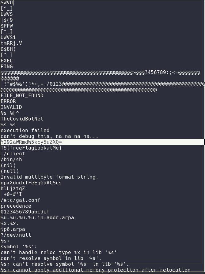 Covid Scammer base 64 domain name