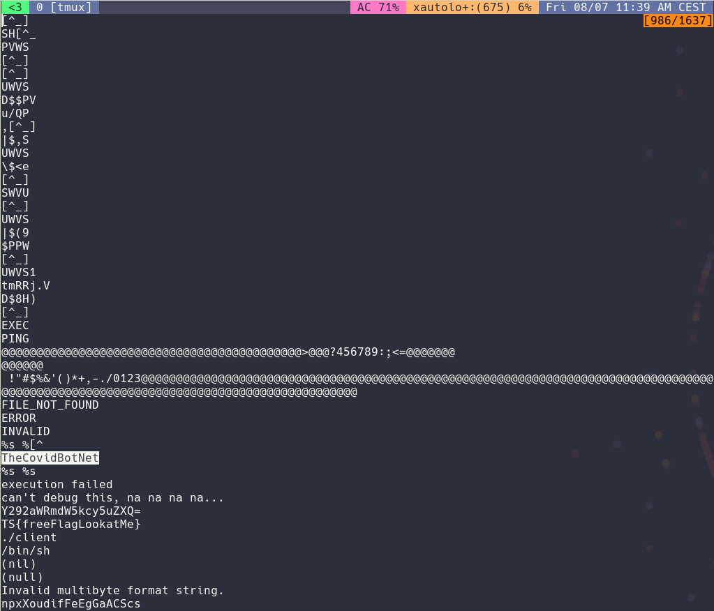 Covid Scammer Binary name